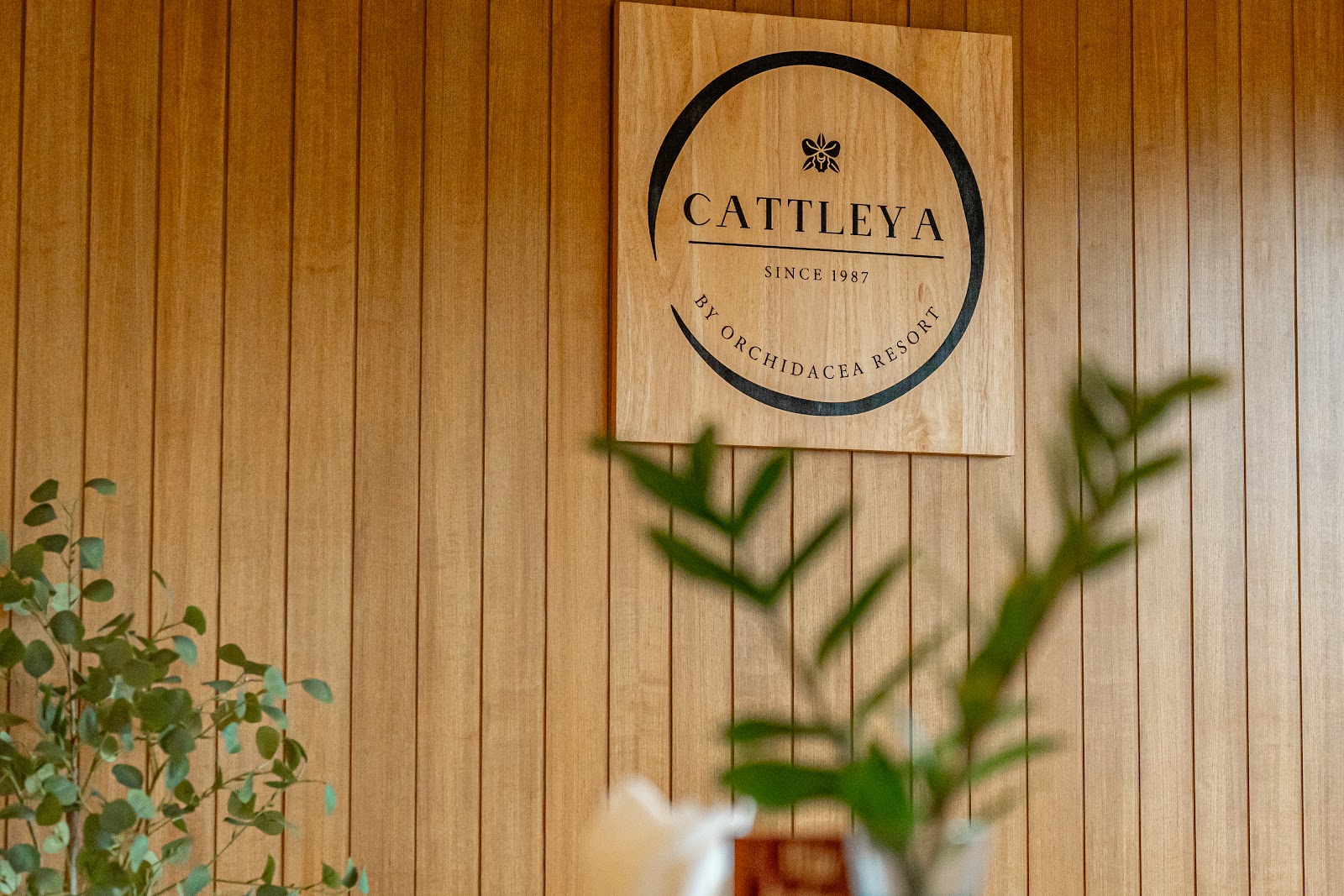 Photo: Cattleya Restaurant Kata Beach via Google