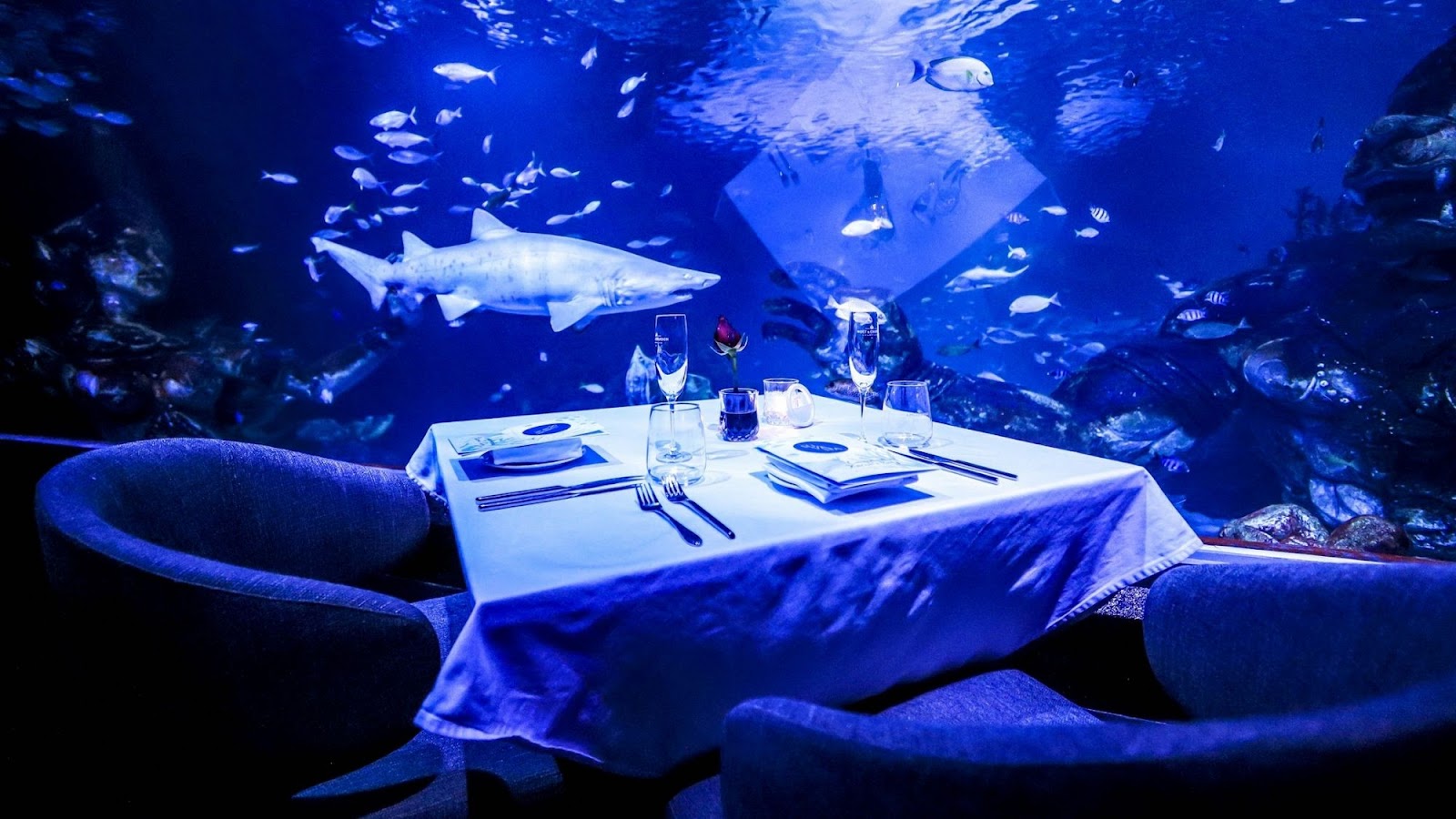 Photo: SuVaNa Phuket via Google